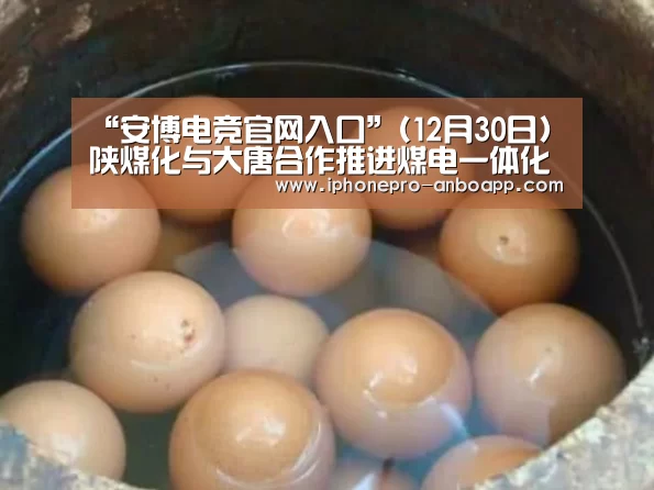 “安博电竞官网入口”(12月30日)陕煤化与大唐合作推进煤电一体化(图2) 安博官方网站